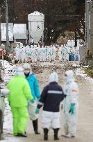 Bird flu strain detected in ducks in Aomori