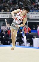 Gymnastics: Uchimura completes dominant decade at nationals