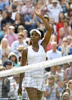 Tennis: V. Williams advances to Wimbledon final