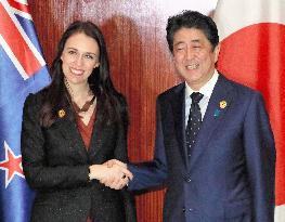 Japanese, New Zealand leaders meet in Vietnam