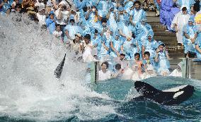 Attraction at Kamogawa Sea World in Japan