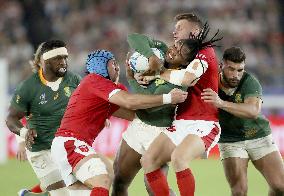 Rugby World Cup in Japan: Wales v South Africa