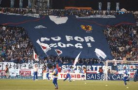 Japan supporters at Cameroon Friendly