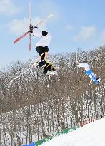 Canada's Mikael Kingsbury wins men's dual moguls at World Cup