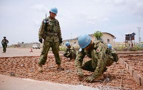 SDF to have greater scope to use arms in peacekeeping operations