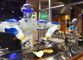 Kingdom of Robots at Huis Ten Bosch