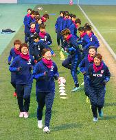 Soccer: Nadeshiko Japan to play Costa Rica in April friendly