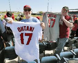 Los Angeles Angels pitcher Shohei Ohtani