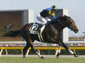 King Kamehameha wins Japan Derby