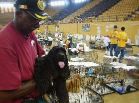 Pets lost in Hurricane Katrina receive food and shelter