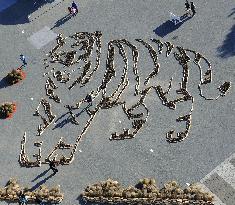 Huge image of tiger laid out in Ibaraki Pref. national park