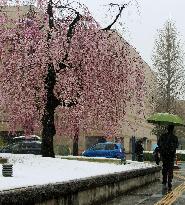 Japan turns wintry