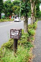 Whale design lamp on Tokyo street