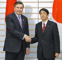 Georgian President Mikhail Saakashivili talks with Abe