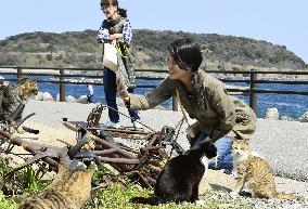 "Cat Heaven Island" in tourism spotlight but locals ambivalent