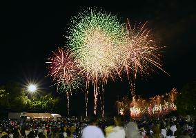 Fireworks light up sky in western Japan's Tondabayashi