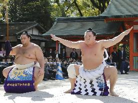 Sumo: Grand champion Hakuho