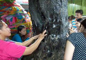 Bangkok temple tree said to reveal lotto winning numbers