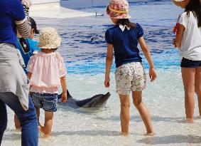 Aquarium allows visitors to play with dolphins