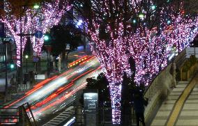 Illumination re-creating cherry blossoms in evacuation zone