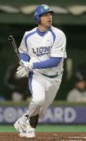 Liefer nails grand slam