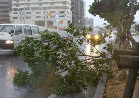 Powerful typhoon heading north