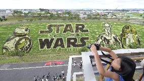 Paddy art of "Star Wars"