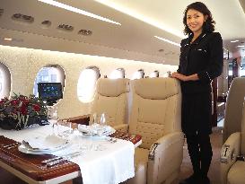 JAL unveils interior of business jet