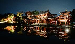 Byodoin illuminated