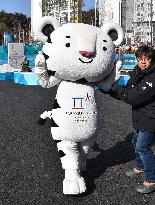 Pyeongchang Olympics