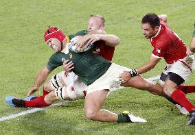 Rugby World Cup in Japan: S. Africa v Canada