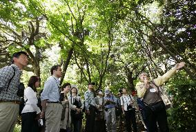 Imperial Palace opens Fukiage area to public for 1st time