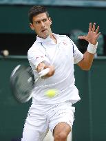 Djokovic beats Federer in Wimbledon final