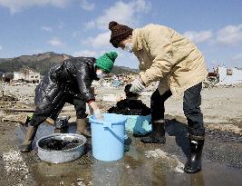 Doing laundry in tsunami-hit Iwate