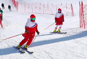 Pyeongchang Olympics