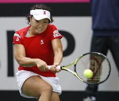 Tennis: Nara at Fed Cup playoffs