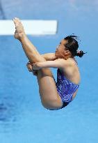 Diving: World championships