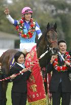 Tanaka ends 15-year drought on Victory at Satsuki-sho