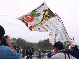 World's biggest kite flies