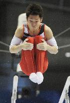 CORRECTED Japan men's gymnastics team secures Olympic berth