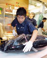 Tuna shop owner in Tsukiji Outer Market fillets tuna in front of shoppers