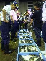 Shimonoseki market marks arrival of fugu season