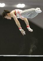Gymnastics: Uchimura wins horizontal bar at nat'l apparatus c'ships