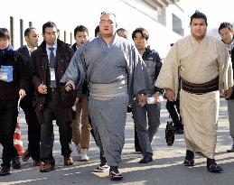 Cancellation of spring sumo tournament