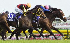 Apapane wins Victoria Mile