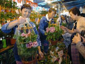 Morning glories marketed in Tokyo