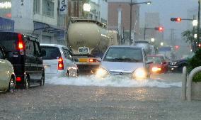 Typhoon Meari brings heavy rain to southern, western Japan