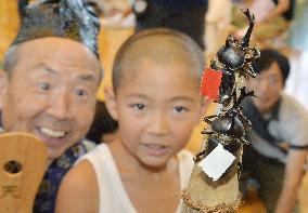 National beetle sumo competition held