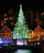 Christmas tree lighting in Hakodate