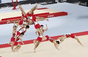 Gymnastics: Kenzo Shirai